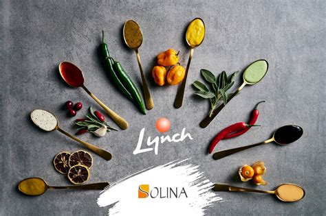 PRNewswire -- Solina, a leading European producer of savoury ingredient solutions for the food industry, has acquired U. . Solina foods